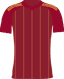home club logo