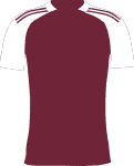 home club logo