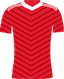 home club logo