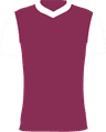 home club logo