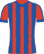 home club logo