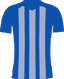 home club logo