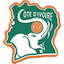 home club logo
