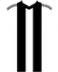 home club logo