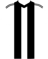 home club logo