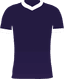 home club logo