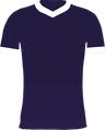 home club logo