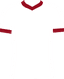 home club logo