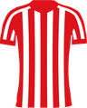 home club logo